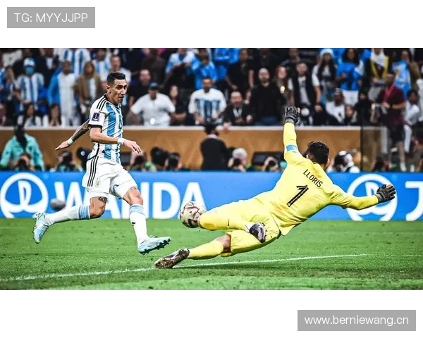 安赫尔·迪马利亚：法甲冠军核心成员持续贡献