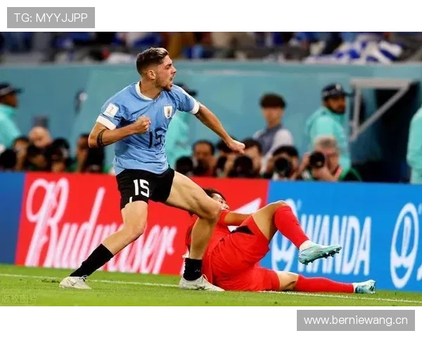 琼阿梅尼世界杯赛场防守贡献与战术价值解析